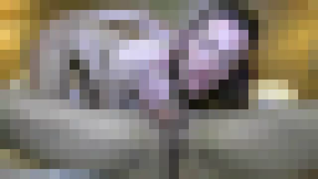 Su Novia Le Ofrece Un 3some Con Otra Chica